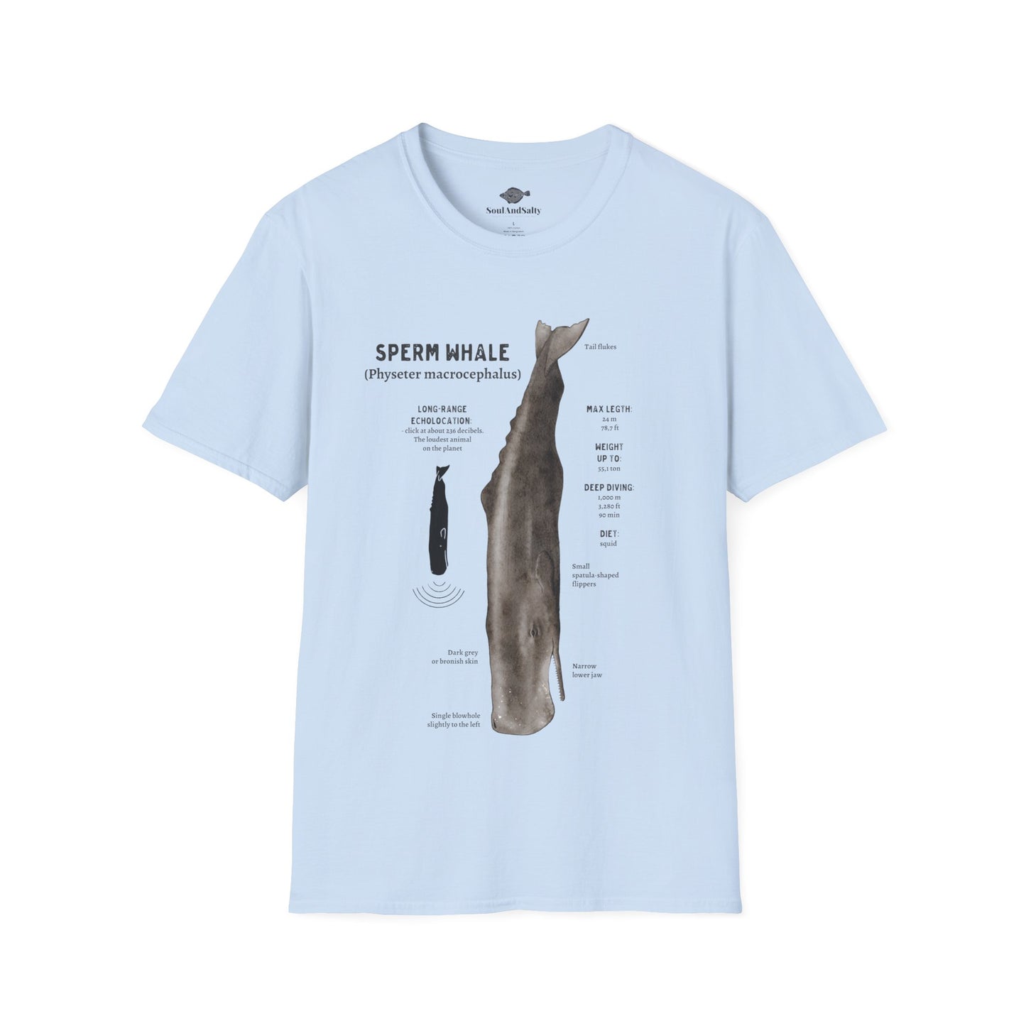 Spearm Whale Diagram Tee