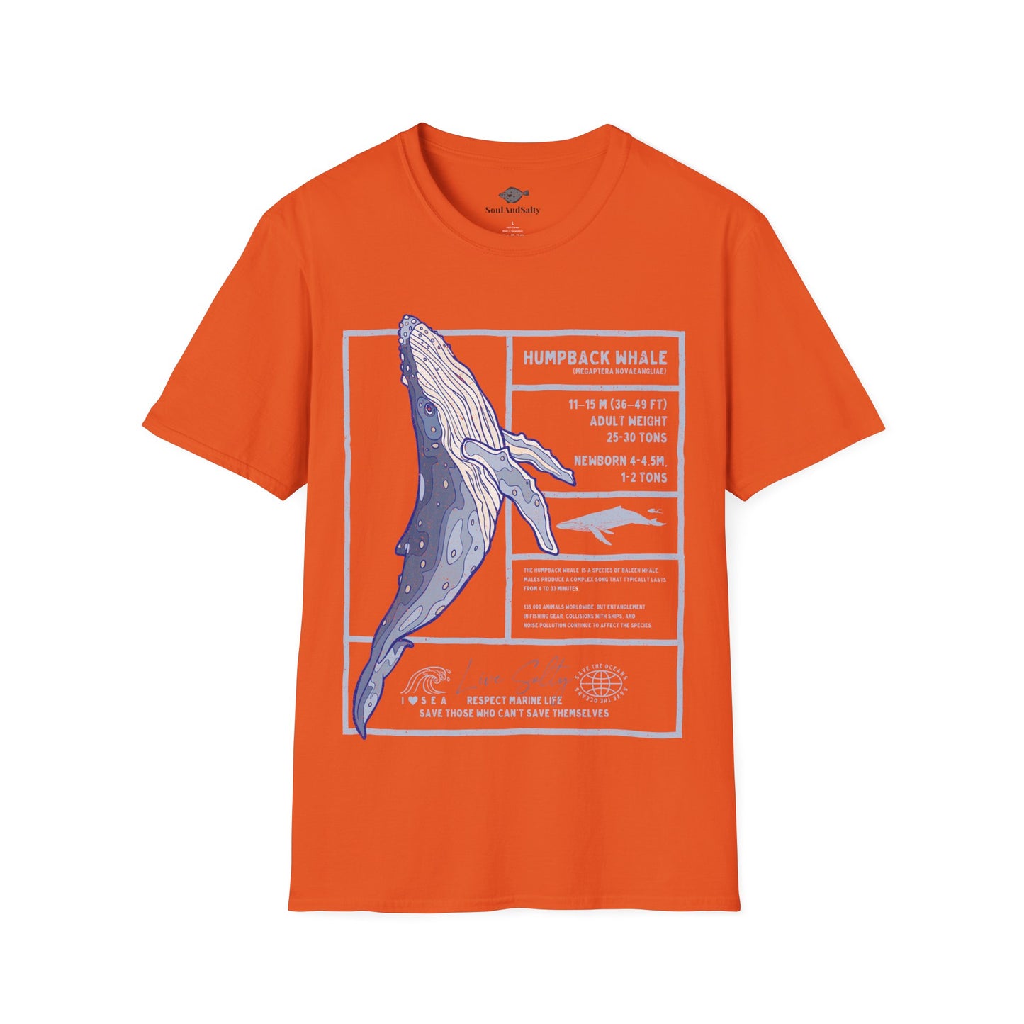 Humpback Whale Diagram Tee