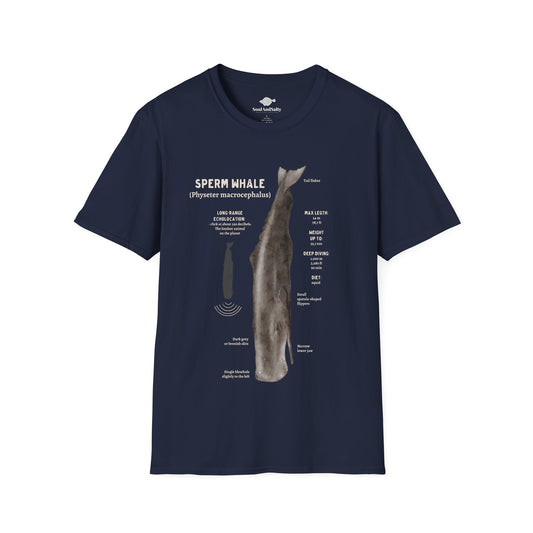 Spearm Whale Diagram Tee