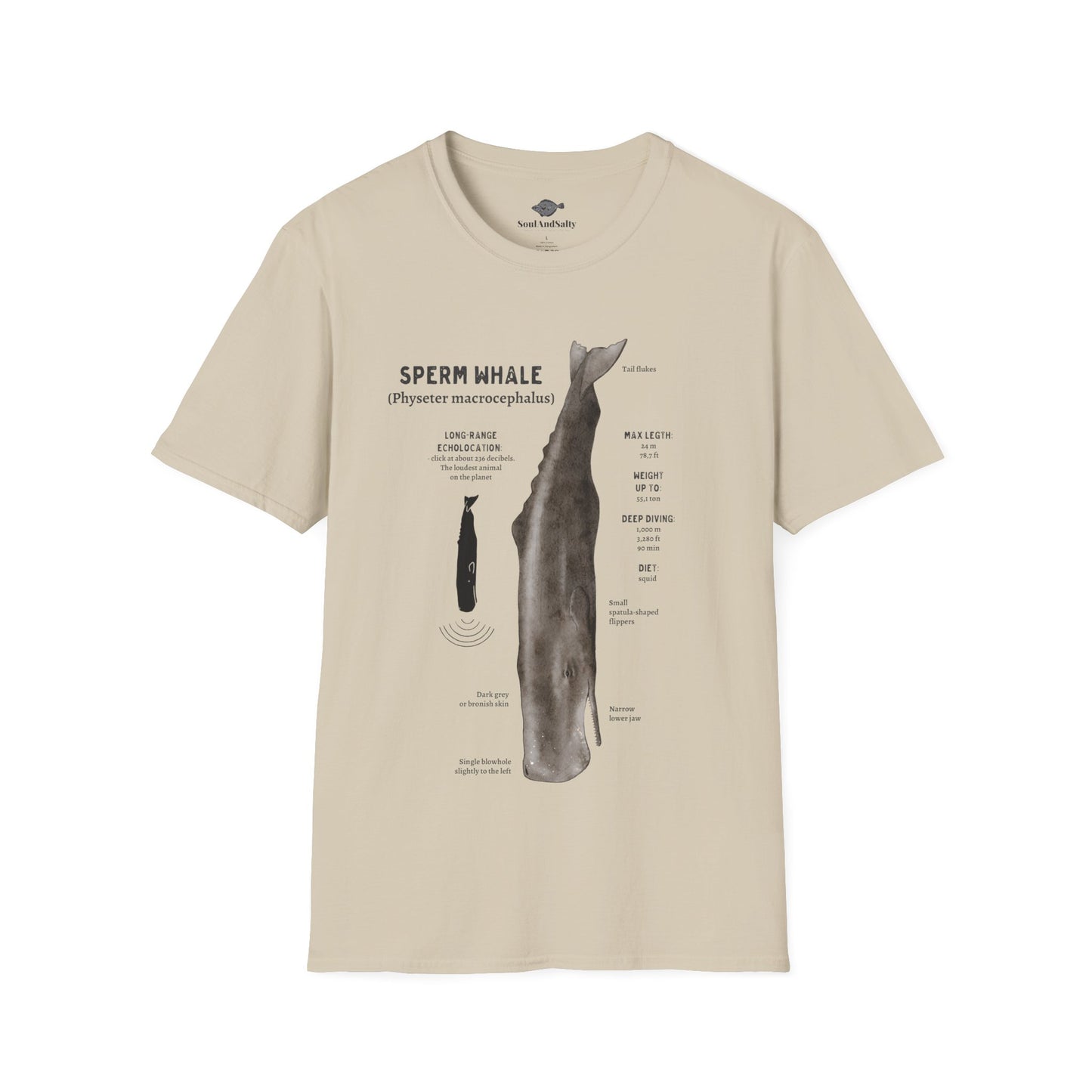 Spearm Whale Diagram Tee