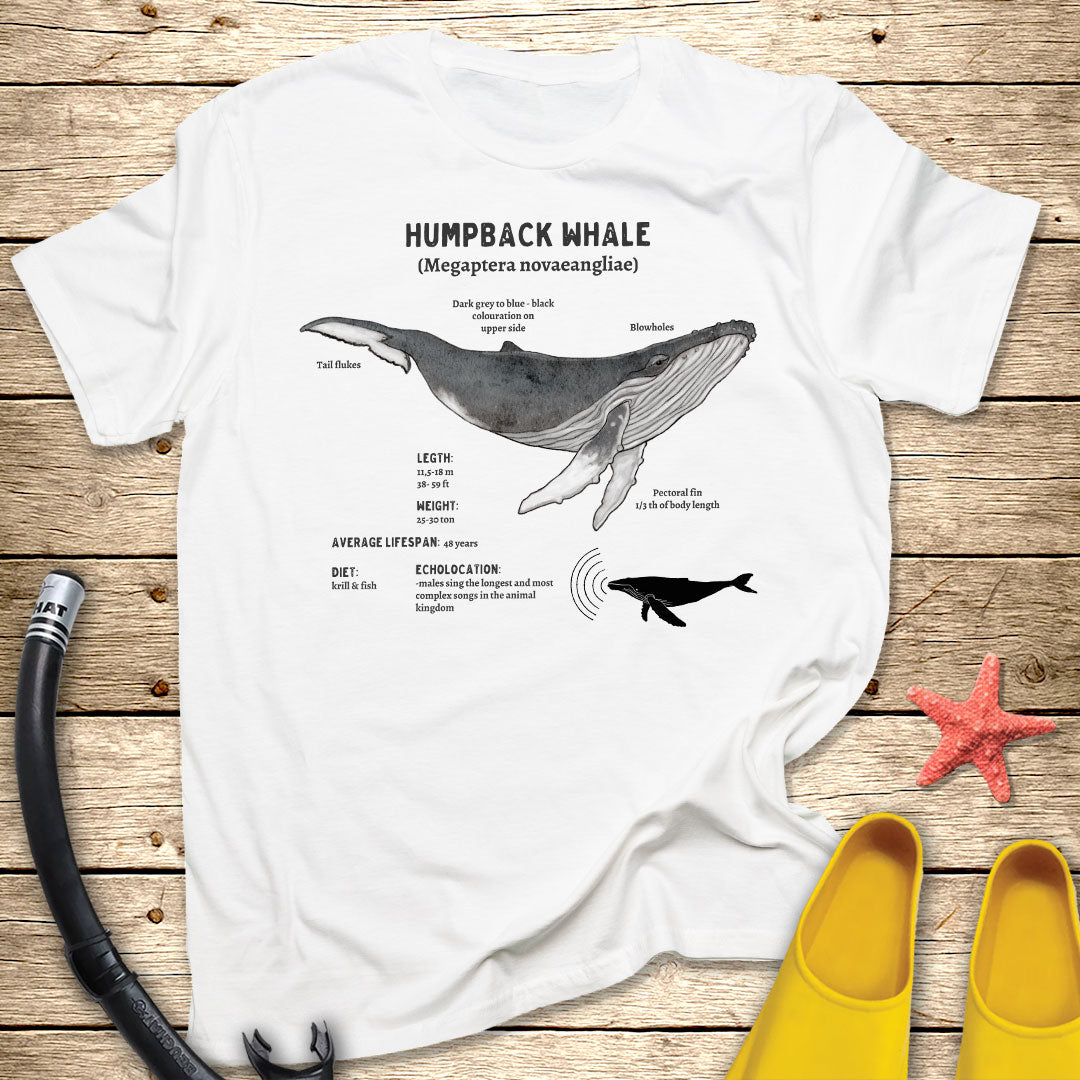 Humpback Whale Diagram Tee