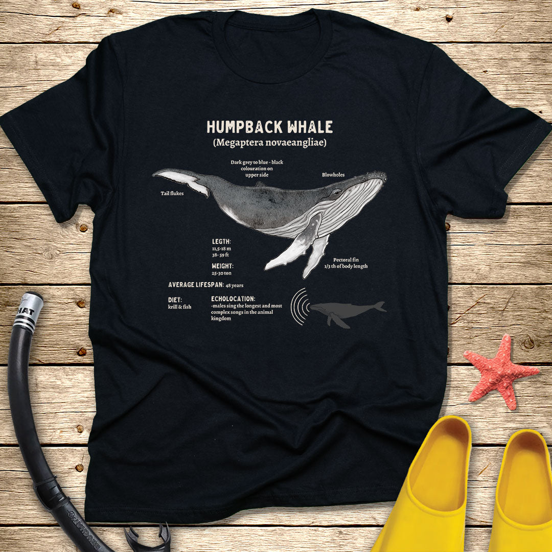 Humpback Whale Diagram Tee