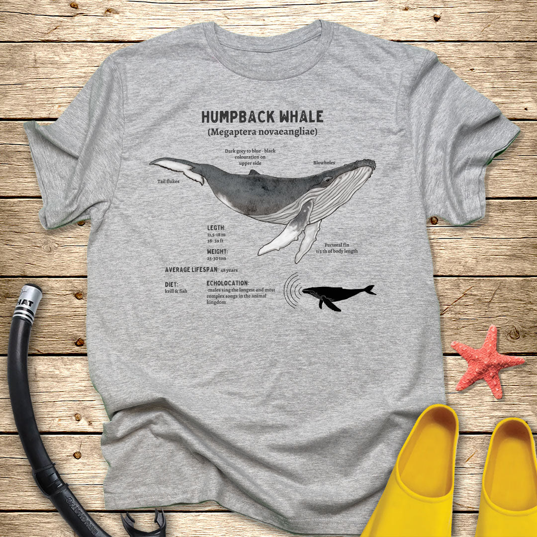 Humpback Whale Diagram Tee
