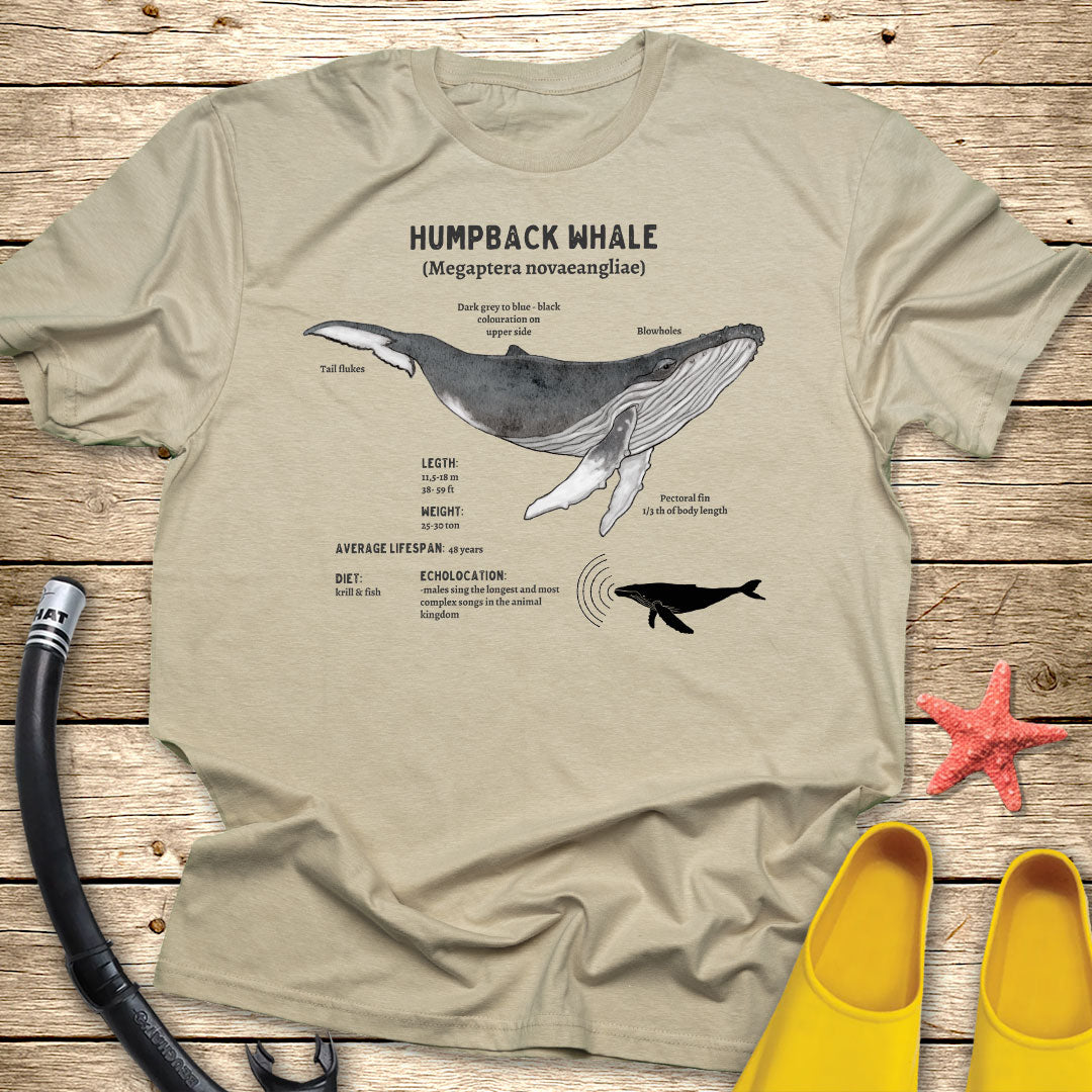 Humpback Whale Diagram Tee