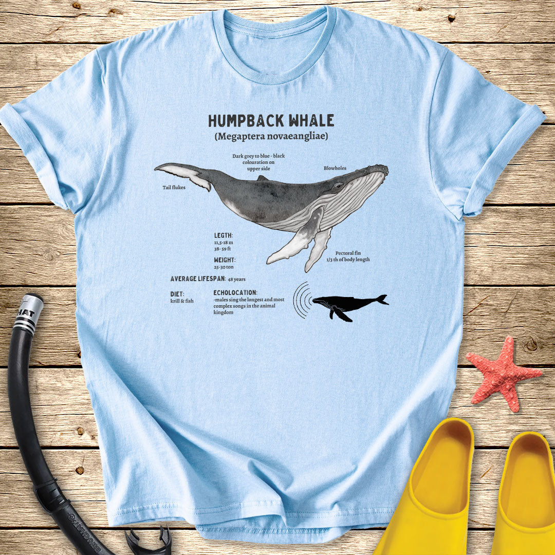 Humpback Whale Diagram Tee