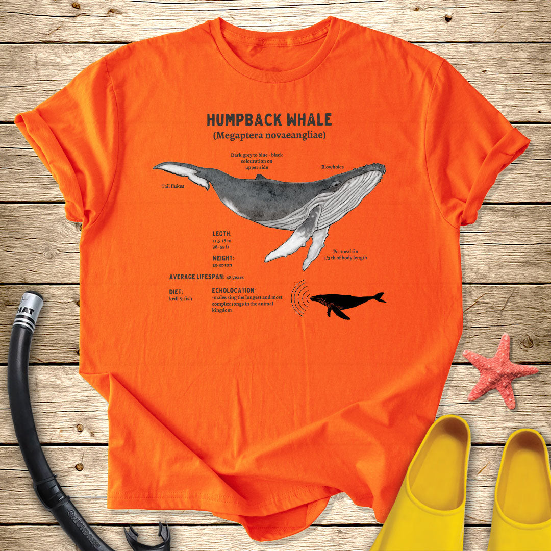 Humpback Whale Diagram Tee