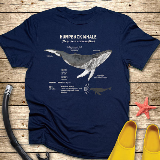 Humpback Whale Diagram Tee