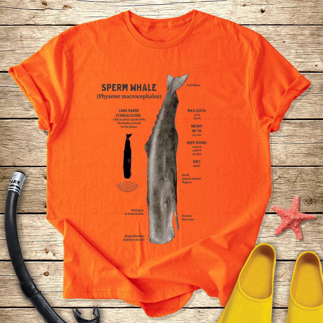 Spearm Whale Diagram Tee
