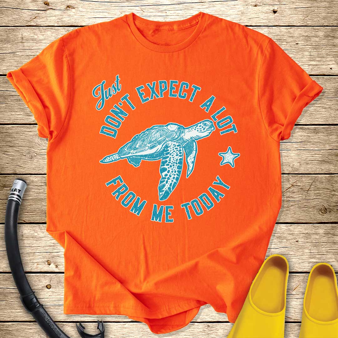 Just Don't Expect A Lot From Me — Sea Turtle T-Shirt