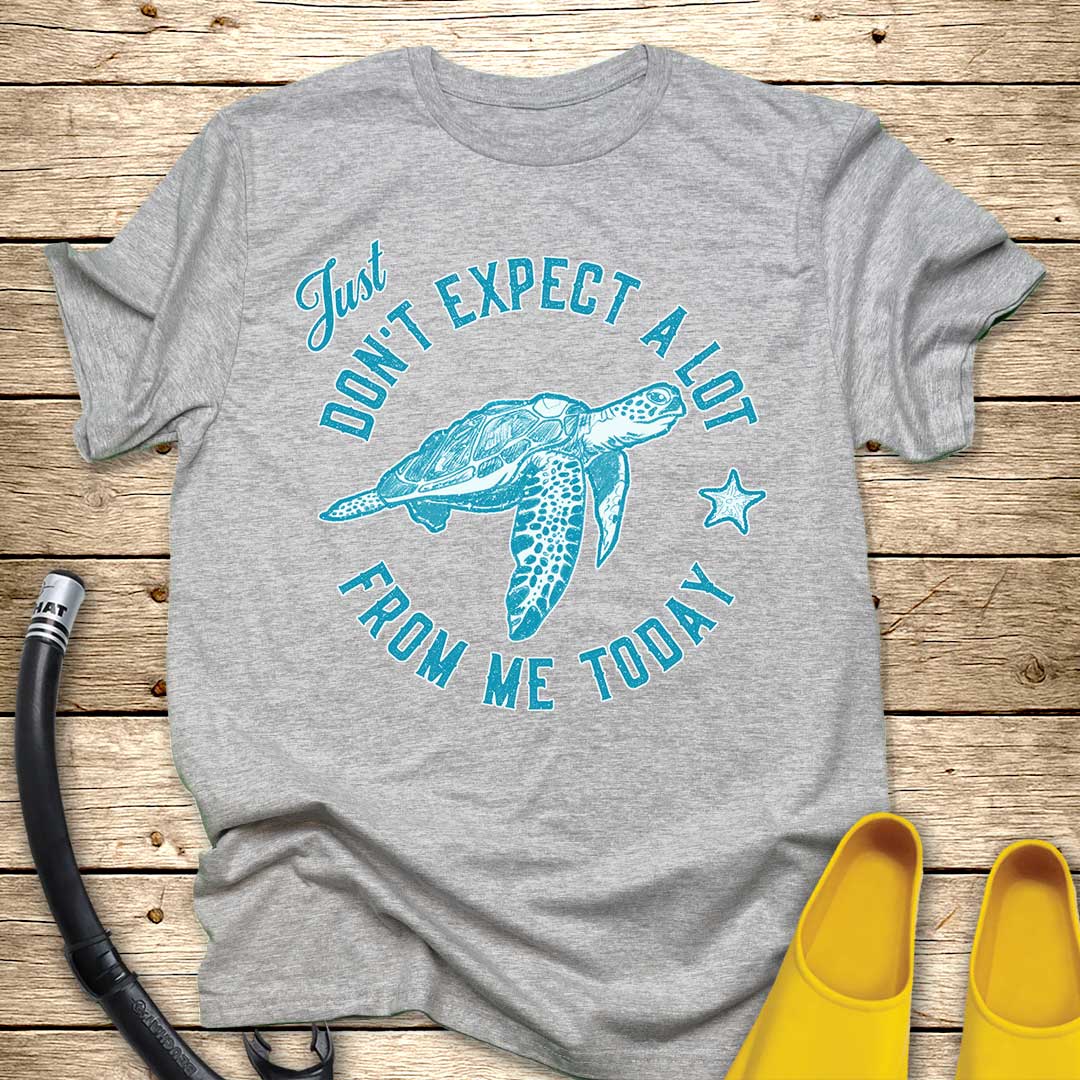 Just Don't Expect A Lot From Me — Sea Turtle T-Shirt