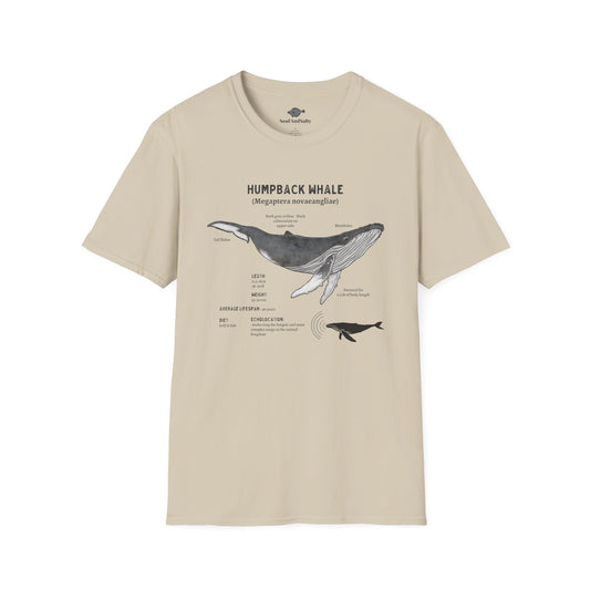 Humpback Whale Diagram Tee