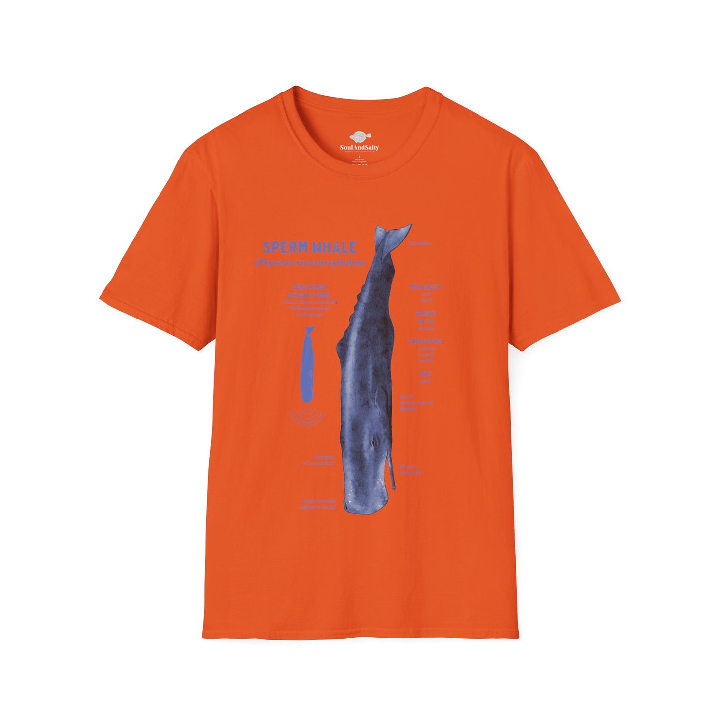 Blue Spearm Whale Diagram Tee