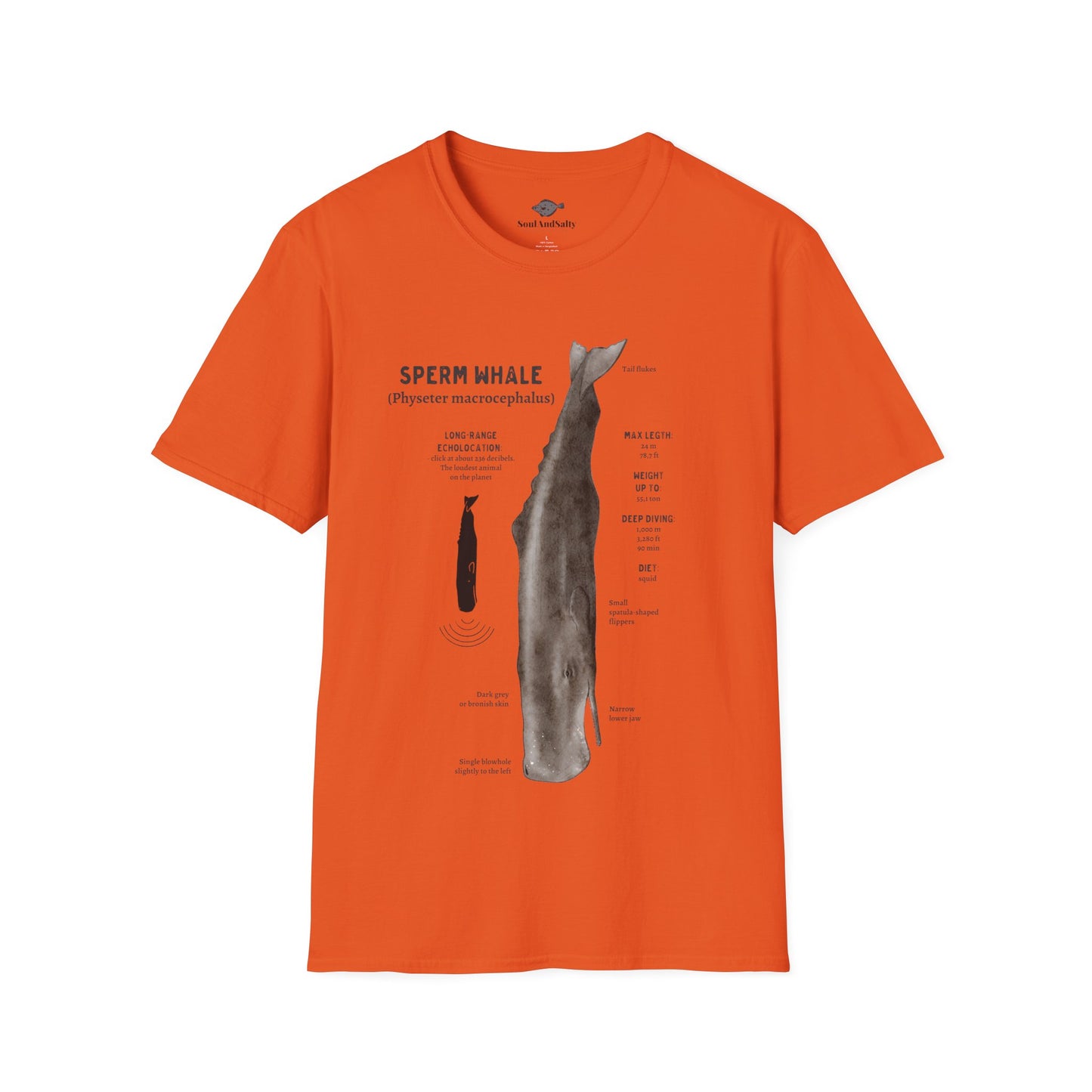 Spearm Whale Diagram Tee